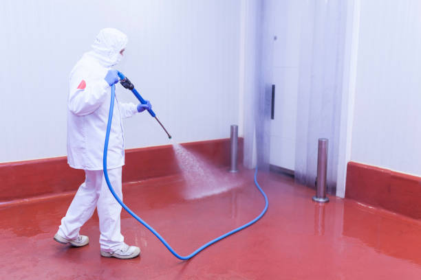 Best Boat and Dock Cleaning  in Dayton, VA