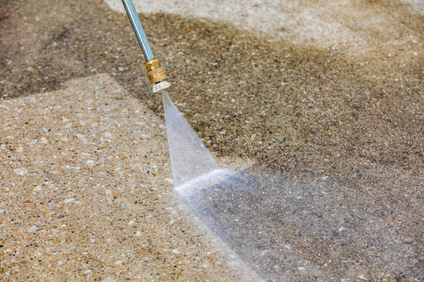 Best Roof Washing  in Dayton, VA